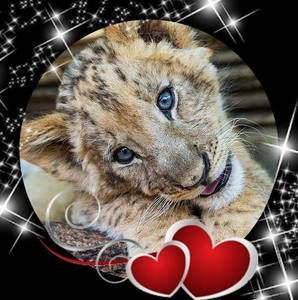 Meet your Posher, Eddie